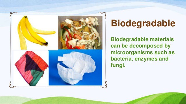 biodegradable-material-info