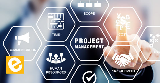 project management basics